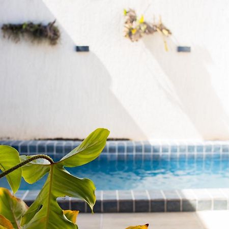 Casa Kayak - Villa Remo Milagres Piscina Privativa São Miguel dos Milagres Buitenkant foto