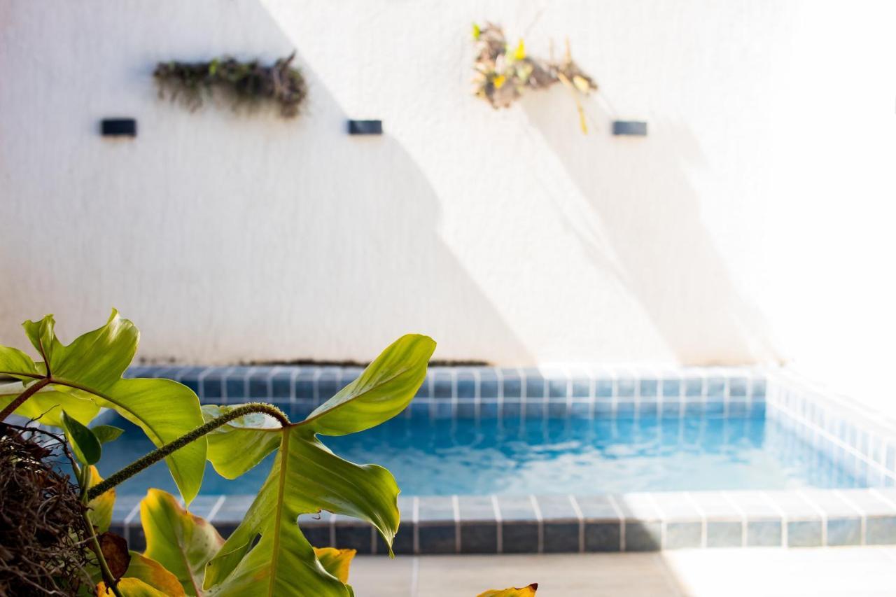 Casa Kayak - Villa Remo Milagres Piscina Privativa São Miguel dos Milagres Buitenkant foto